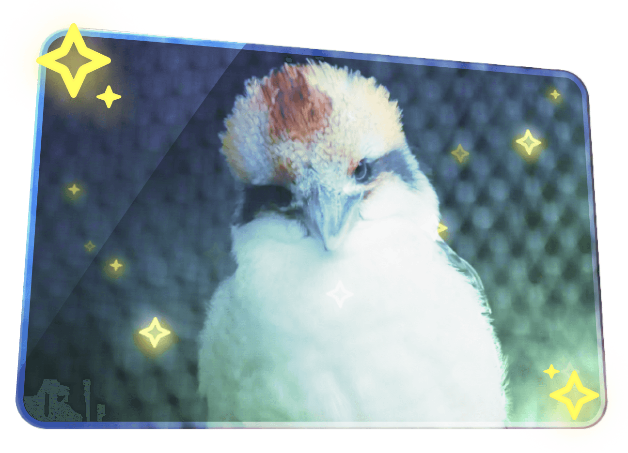 キラキラになった投稿のイメージ画像